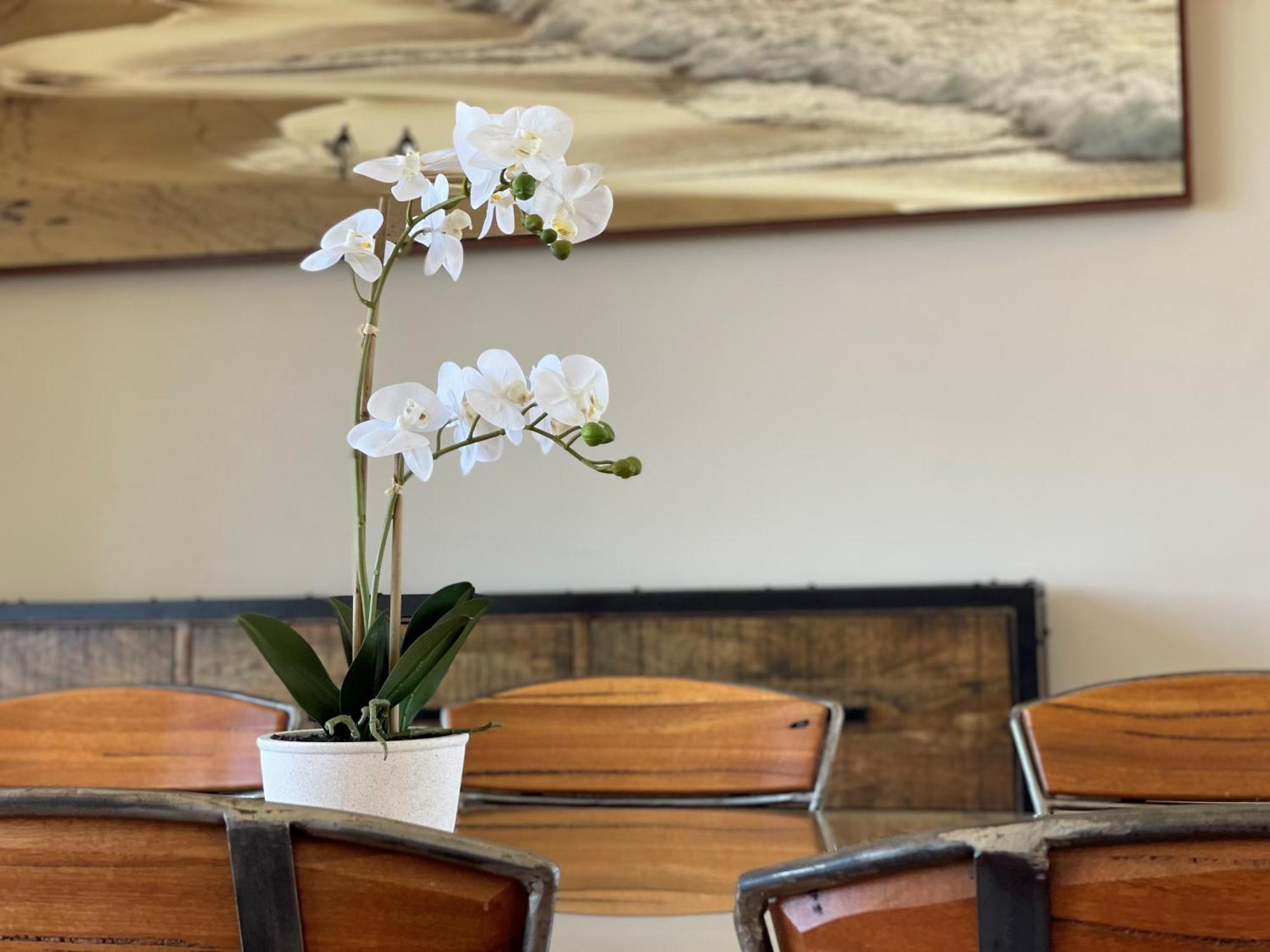 Barwon Heads Resort Δωμάτιο φωτογραφία